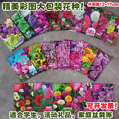 彩图包装花卉种子学生礼物四季种