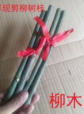 新鲜现剪夜晚哭泣随身携带
