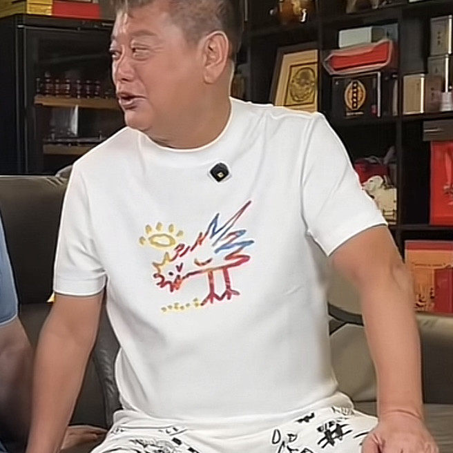 100%纯棉陈百祥叨哥小鸡啄米图T恤凤凰奥义图短袖情怀上衣香港