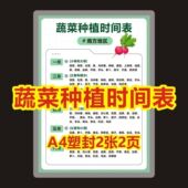 轻松学种菜蔬菜种植时间表小知识海报A4打印学习塑封防水防污卡片