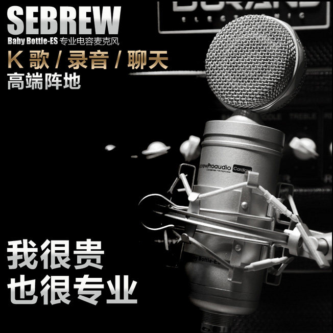 希伯莱SebrewBabybattleES48V电容麦克风直播K歌录音聊天专业话筒