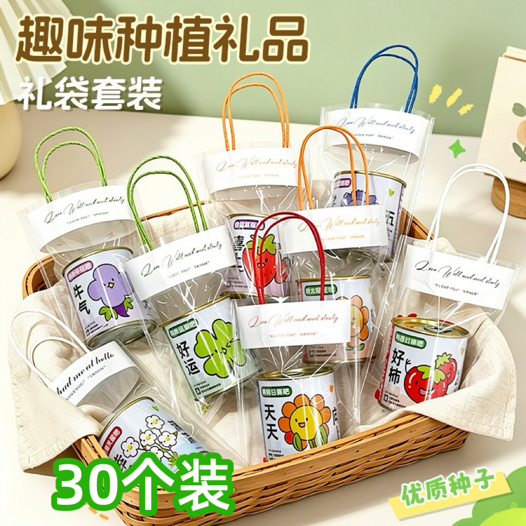 创意礼物儿童种植小盆栽生日礼物