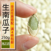 250g海之远生南瓜子原味新货白瓜籽干货新疆特产小袋装 坚果小零食