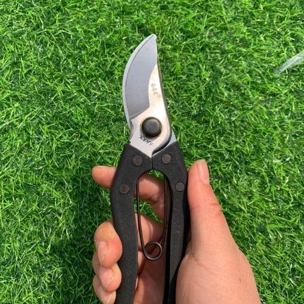 左撇子左手修枝剪修枝剪果树剪刀园艺树枝