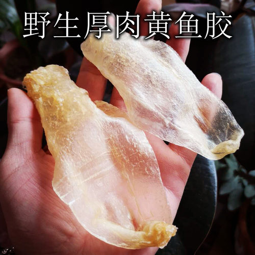 白花鱼胶质量怎么样 白花鱼胶口碑怎么样 小麦优选