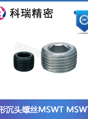 锥形沉头螺塞MSWT1 2 3 4 6 8 不锈钢型MSWTS1 2 3 4 6 8