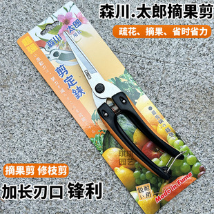 长刃稀果剪修枝森川太郎直头采果芽修枝剪修花稀果摘果剪葡萄剪果