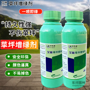 婚礼草坪专用增绿剂专用快速草皮染色剂园林黄叶一喷绿安全不伤草