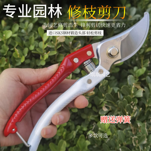 仙鹤果树剪修枝剪台湾