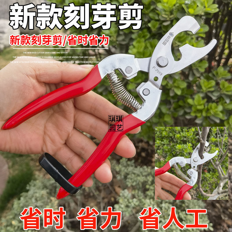 葡萄刻芽剪台湾原装佐川田树枝刻芽剪刀不锈钢刻芽工具果树刻芽修,鲜花速递/花卉仿真/绿植园艺,剪刀,淘宝优惠券,粉丝福利购,淘宝优惠卷