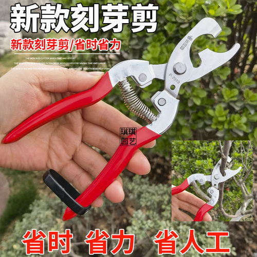 修枝剪剪刀佐川田台湾