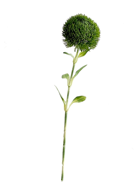 美宜空间插花雀梅拍摄道具仿真花