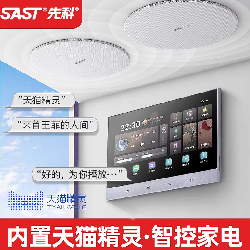 先科B10智能AI语音吸顶音响吊顶家庭K歌背景音乐功放主机客厅音箱