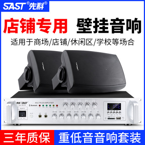 先科p6壁挂音响音箱餐厅店铺专用