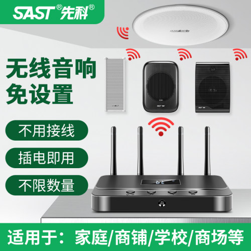 先科k1店铺音响装用商用壁挂音箱