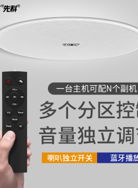 先科 D30无线蓝牙吸顶音响天花吊顶式音箱商用店铺专用喇叭餐厅