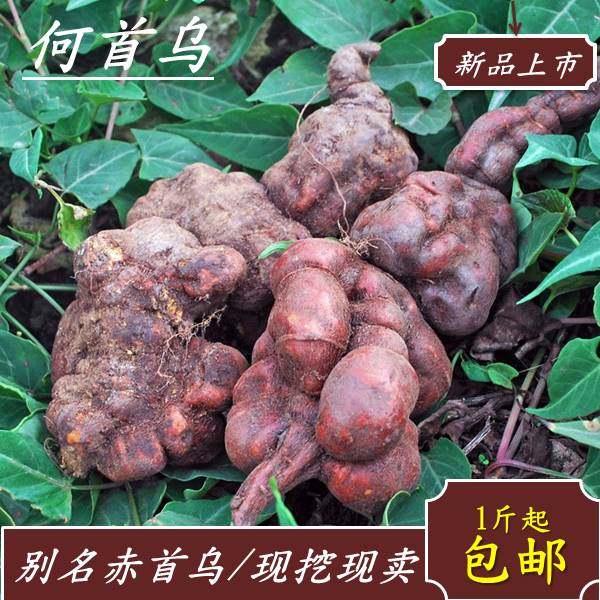 生何首乌新鲜真深 山菊花芯赤首乌500g包邮 四川新鲜何首乌中药材