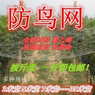 樱桃葡萄防鸟网天网谷子果树果园防鸟网养殖网农用防护罩家用阳台