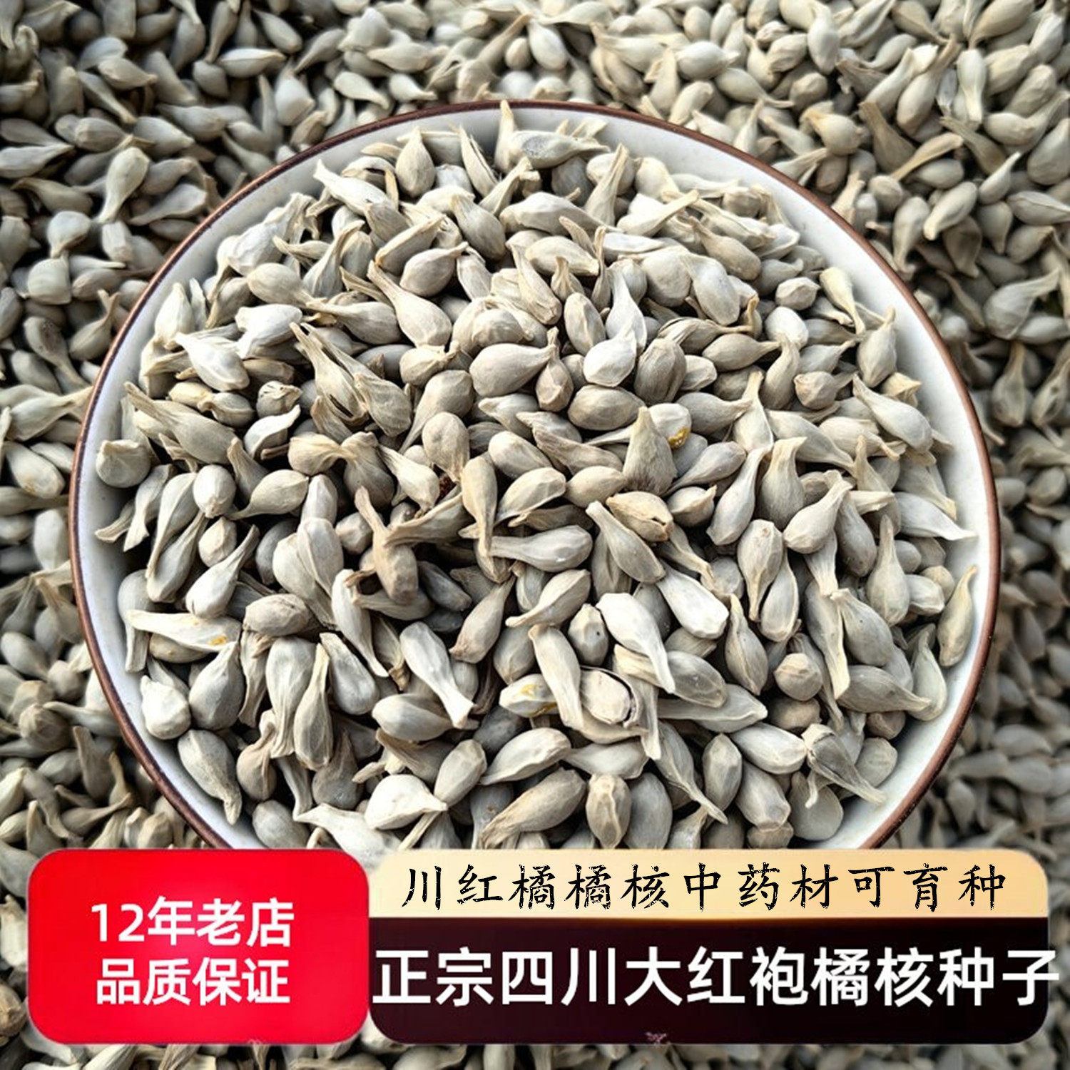 正宗新货正品四川大红袍橘核川红桔橘籽种子土红桔种子中药材橘核