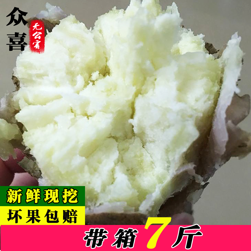高州爆皮王番薯5斤白心红薯新鲜农家自种大番薯粉糯香甜地瓜山芋