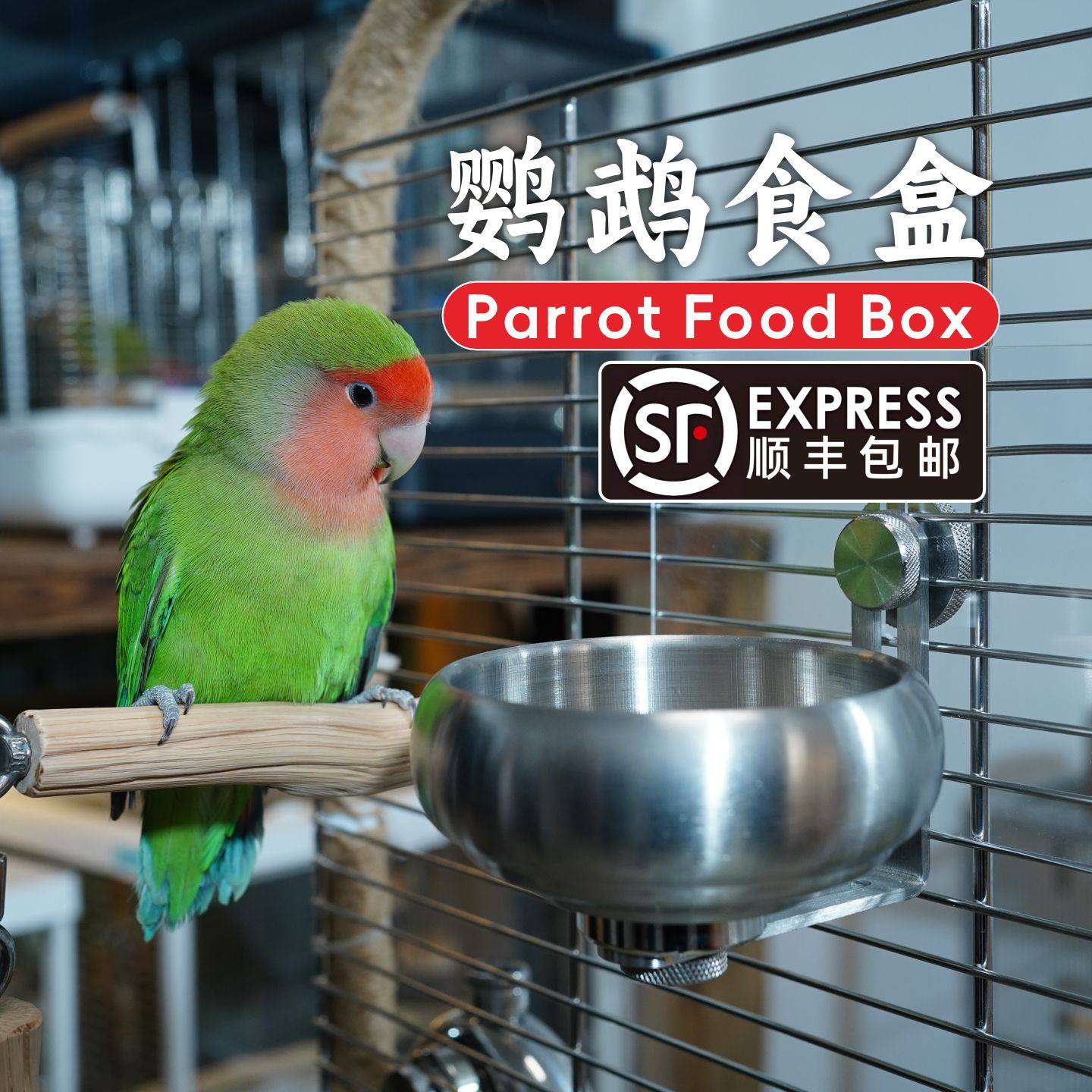 中大型鹦鹉食盒不锈钢鸟食杯内挂保温箱底网食杯喂食碗防咬食盆