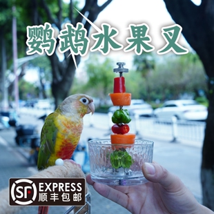 鹦鹉水果叉虎皮玄凤小太阳牡丹蔬菜玉米苹果叉鸟用喂食器鸟笼配件