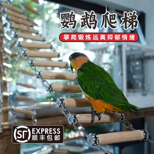中大型鹦鹉爬梯云梯金刚亚马逊灰机铁甲木304不锈钢鸟用啃咬玩具