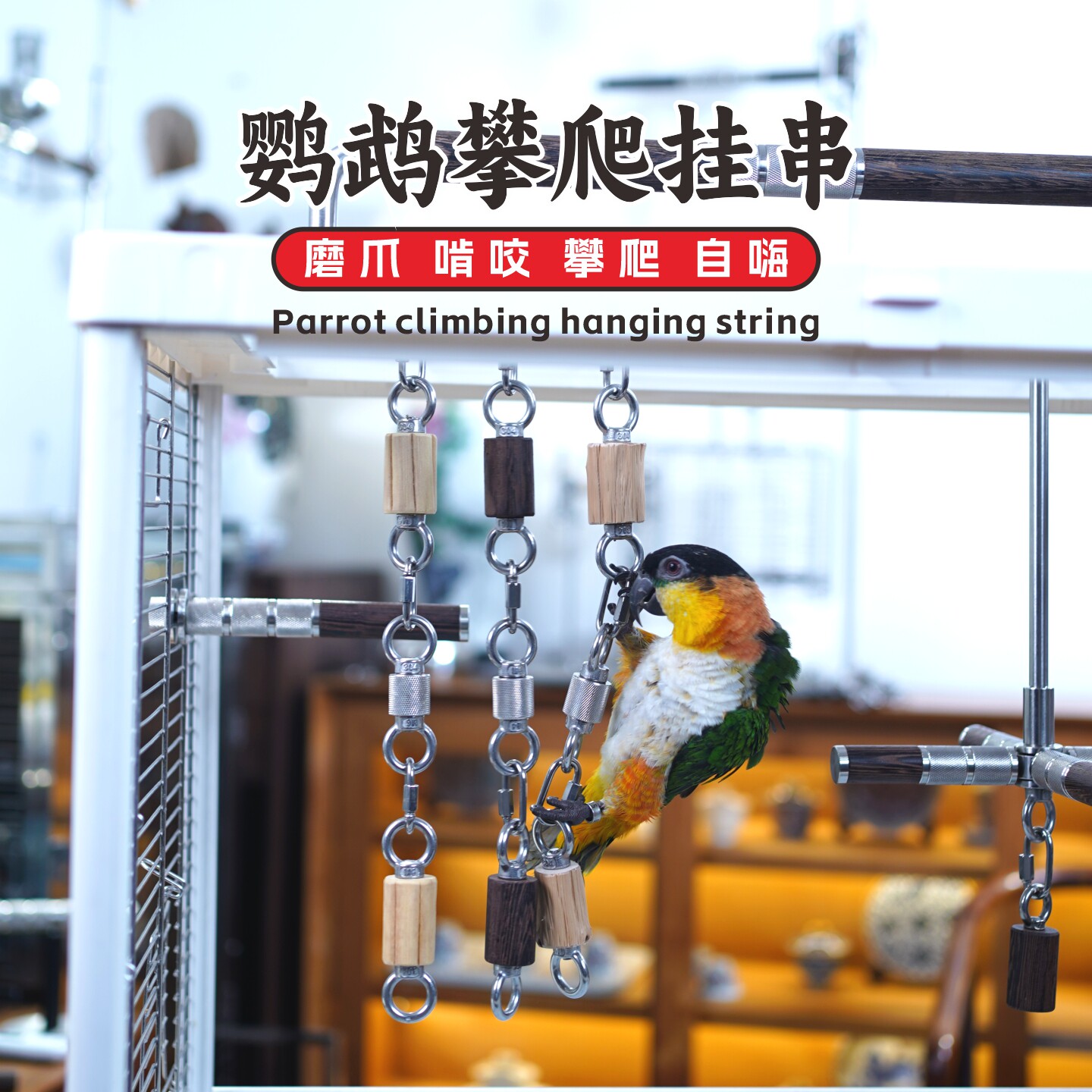 鹦鹉啃咬挂串玩具鸟笼挂件图片
