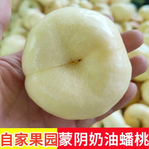 山东蒙阴奶油蟠桃新鲜孕妇脆甜桃应季水果油桃当季白蟠桃子整箱