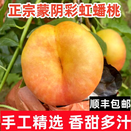 山东蒙阴黄金油蟠桃5斤脆甜多汁