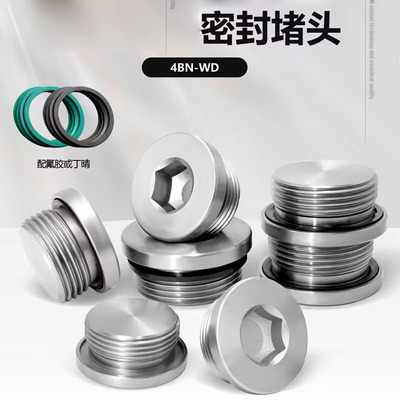 镀锌内六角ED密封圈法兰面堵头