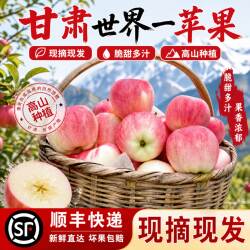 正宗当季新鲜水果甘肃静宁红富士苹果高原世界一号脆甜多汁整箱大