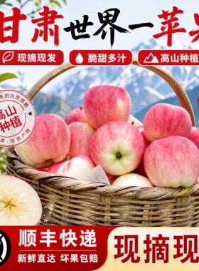 正宗当季新鲜水果甘肃静宁红富士苹果高原世界一号脆甜多汁整箱大