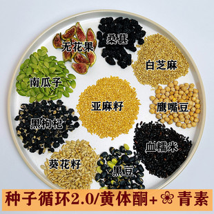 种子循环2.0版黄体酮粉补雌酮酮粉现磨桑葚亚麻籽无花果葵瓜子