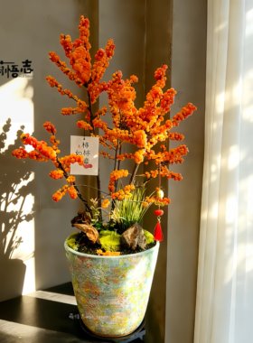 景德镇陶瓷大口径冬青桌面花盆