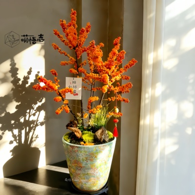 景德镇陶瓷大口径冬青桌面花盆