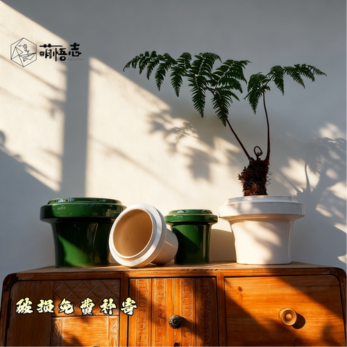 萌悟志陶瓷花盆桌面蝴蝶兰盆