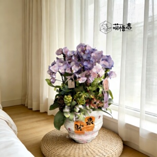 景德镇手绘陶瓷花盆中国风八方来财蝴蝶兰冬青组合专用桌面小盆栽