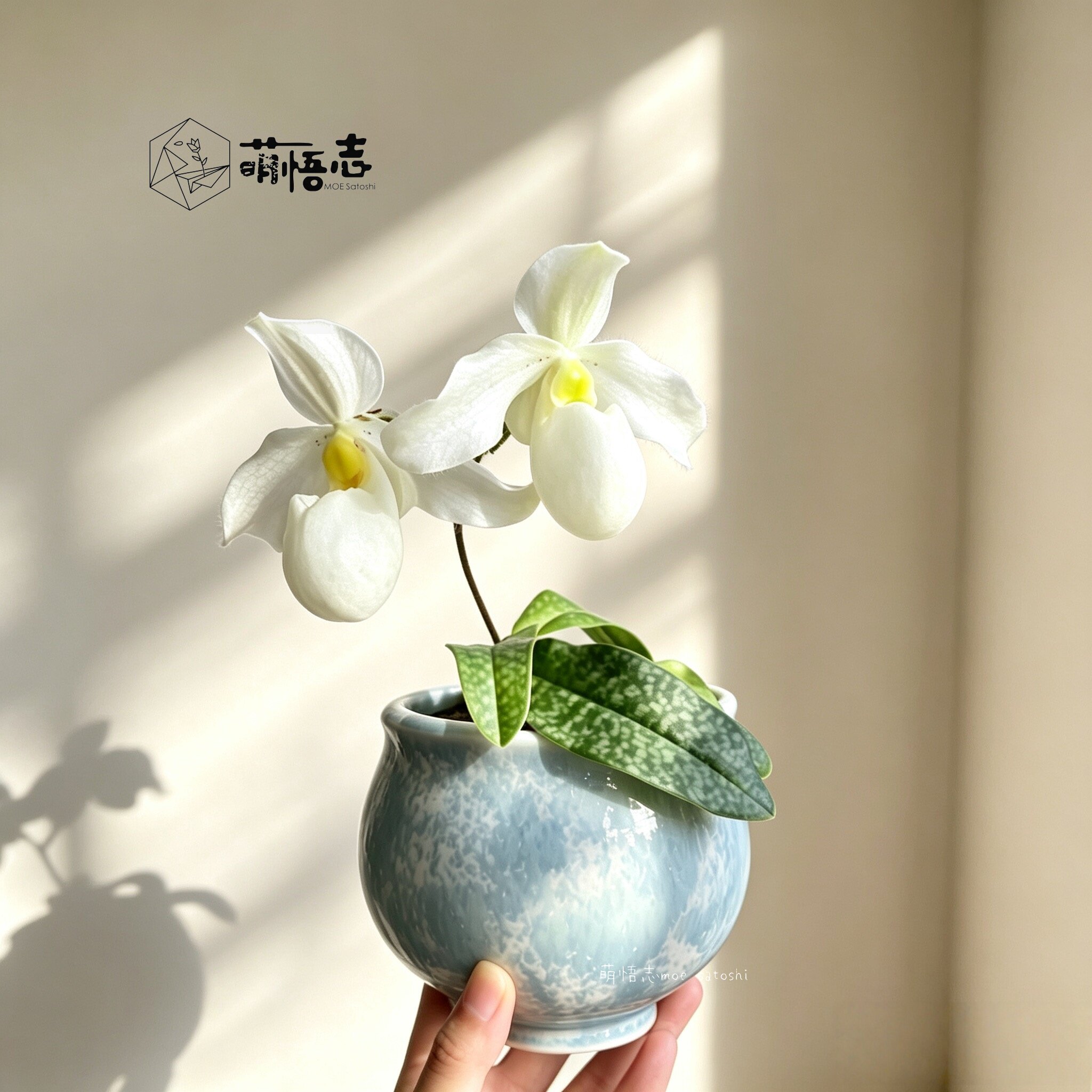陶瓷花盆简约轻奢高级感创意客厅桌面花器绿植盆栽摆件多肉专用