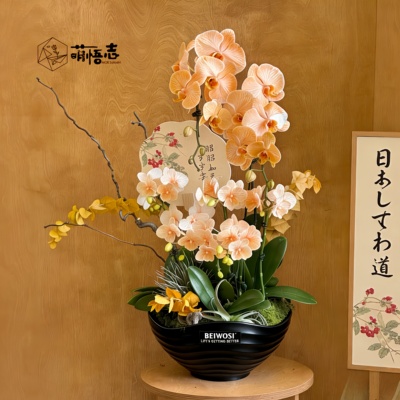 景德镇陶瓷北欧手捏大口径花盆