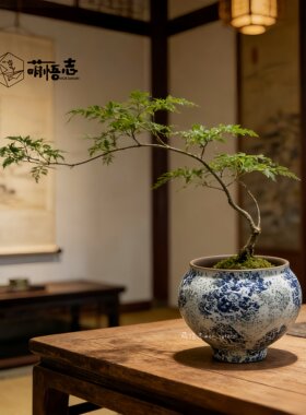 渐变禅意仿古大口径高脚陶瓷花盆
