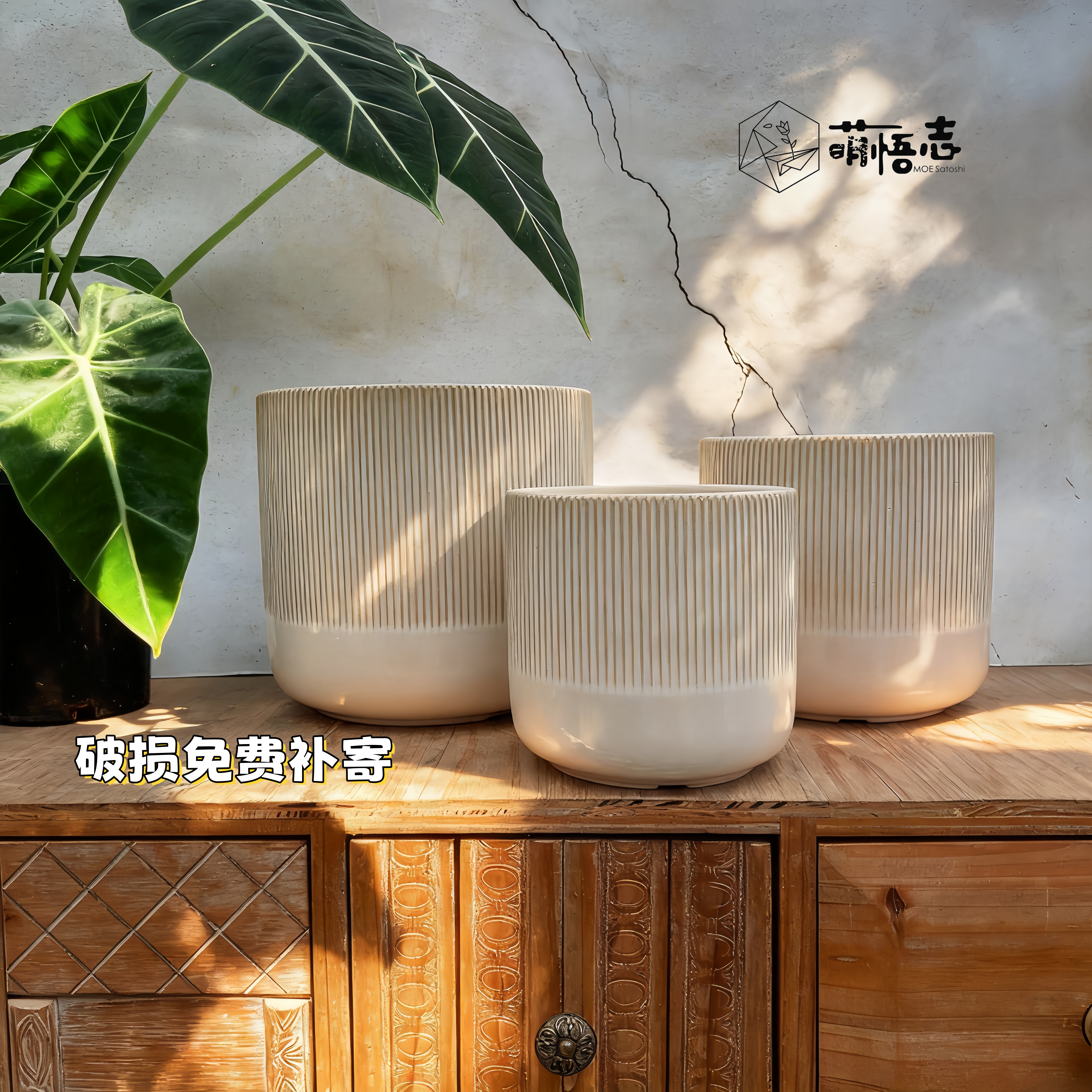 景德镇陶瓷花盆室内外蝴蝶兰简约现代竖条纹白色客厅盆栽小盆清仓