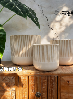 景德镇陶瓷花盆蝴蝶兰简约现代