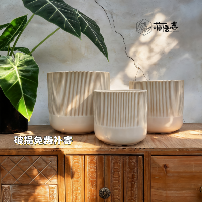 景德镇陶瓷花盆蝴蝶兰简约现代