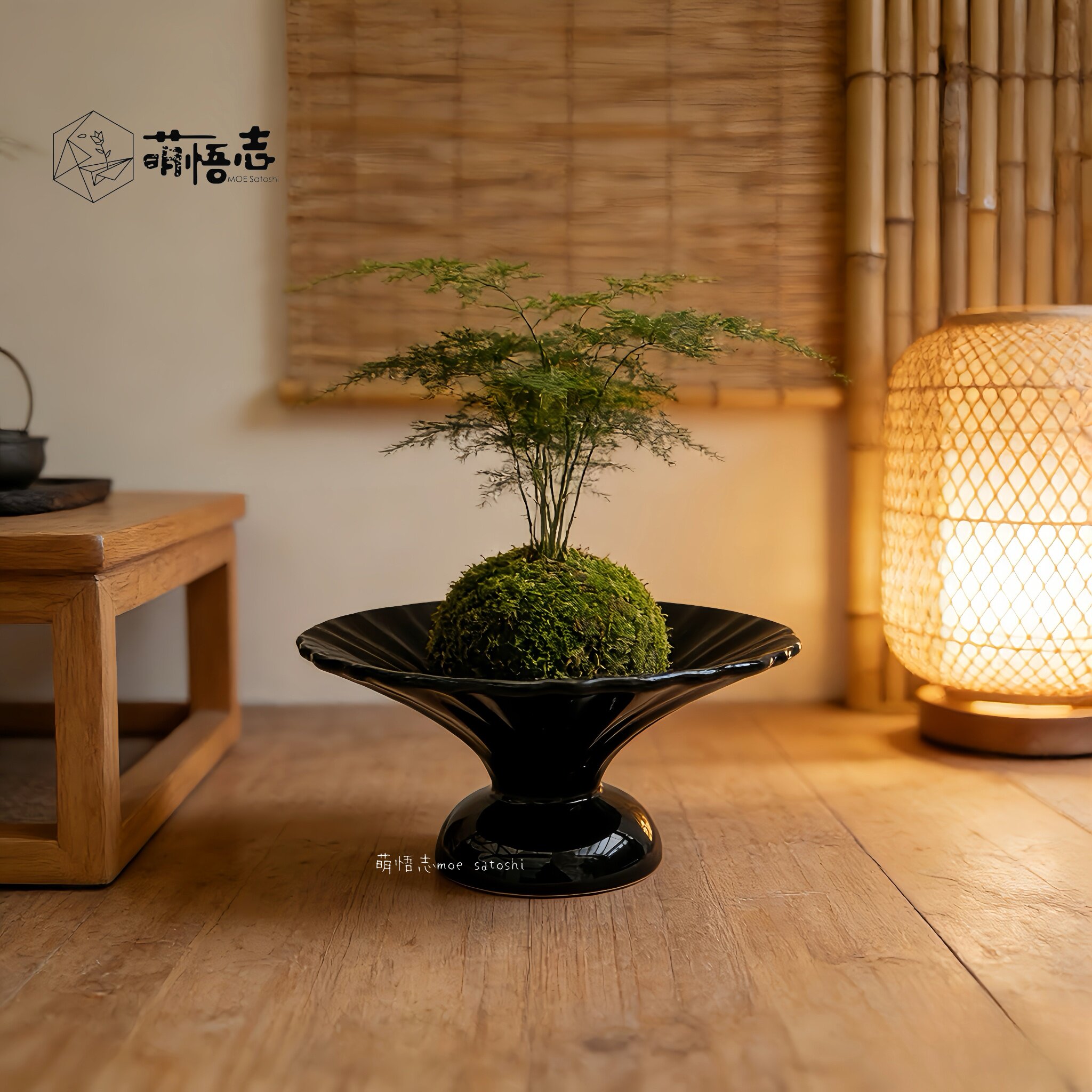 苔藓球专用盆栽无孔花盆禅意家用桌面轻奢复古高脚盆蕨类花盘清仓