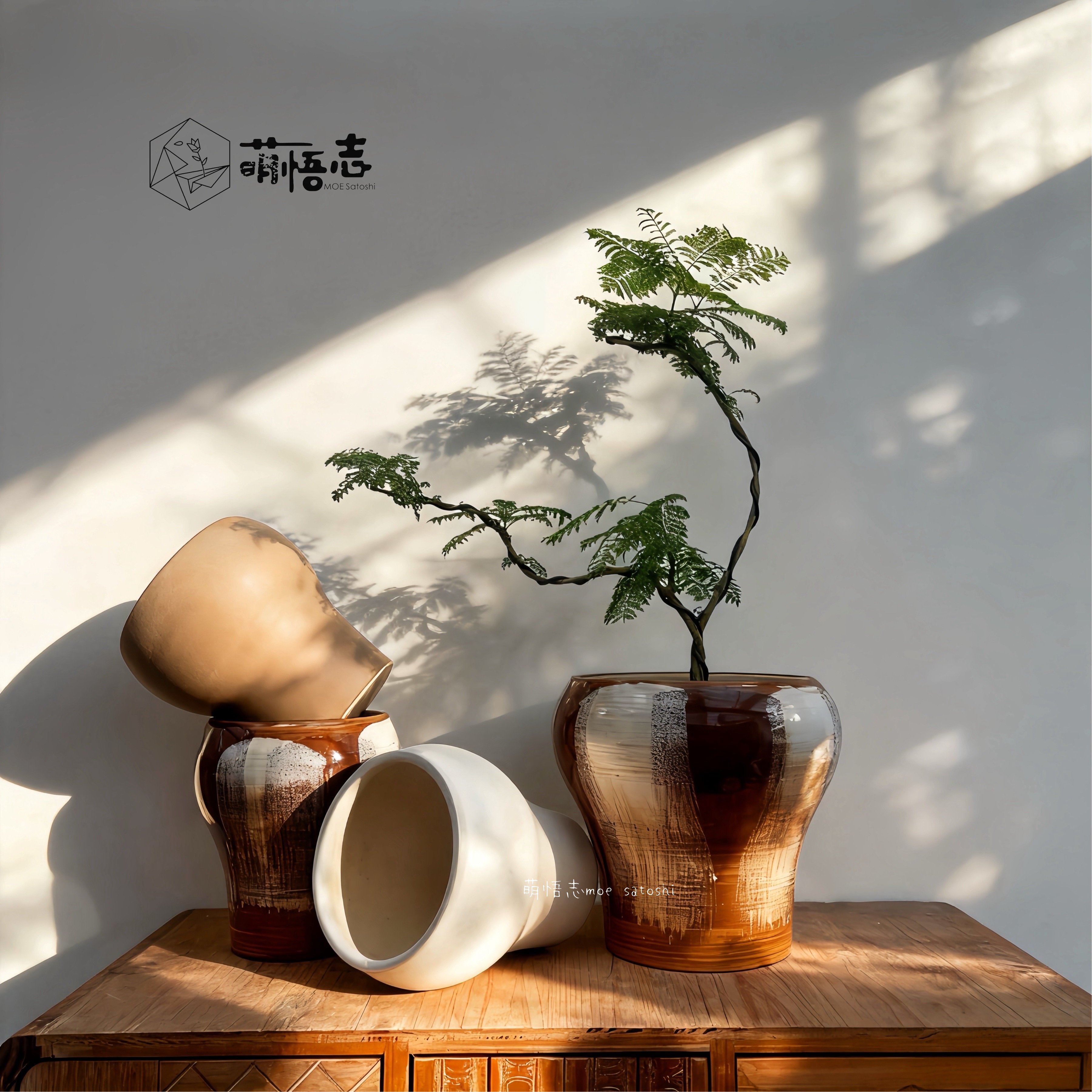 萌悟志简约复古陶瓷花盆三角梅兰草专用蝴蝶兰组合桌面盆栽清仓