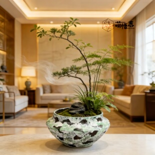 景德镇仿古侘寂风陶瓷花盆桌面禅意盆栽君子兰蝴蝶兰组合专用清仓