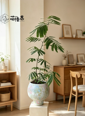 景德镇陶瓷手绘高脚花盆