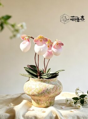 萌悟志陶瓷彩绘室内桌面花盆