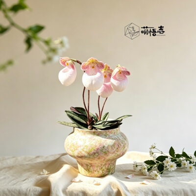 萌悟志陶瓷彩绘室内桌面花盆